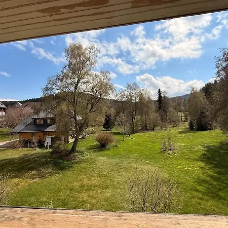 Berg Zeit In * Hinterzarten